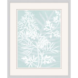 Delicate Fern Assimilation 4 Print