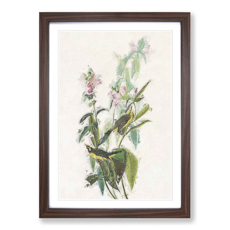 Green Black-Capt Flycatcher Bird by John Audubon - Picture Frame Painting Print, 65cm H x 48cm W x 2cm D, Walnut Framed