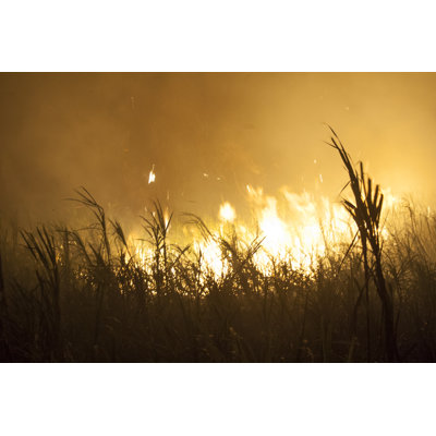 Fire by Alffoto - Wrapped Canvas Print