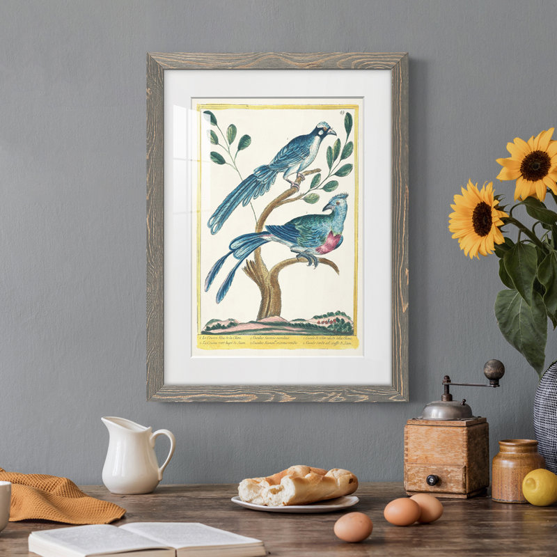 Pastel Birds VI Premium encadré mat - prêt à être accroché, H 24 po x l 20 po x P 1 po, Cadre gris
