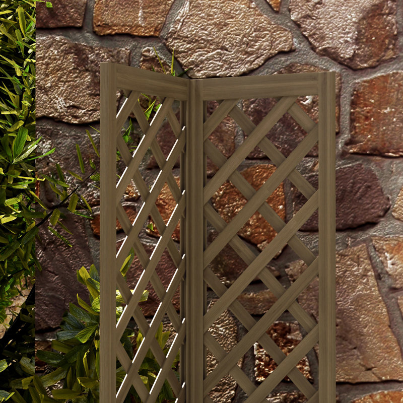 Lit de jardin surélevé en bois avec treillis Outsunny