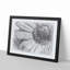 Pretty Flower in Abstract - Framed Print-55768043-55768047