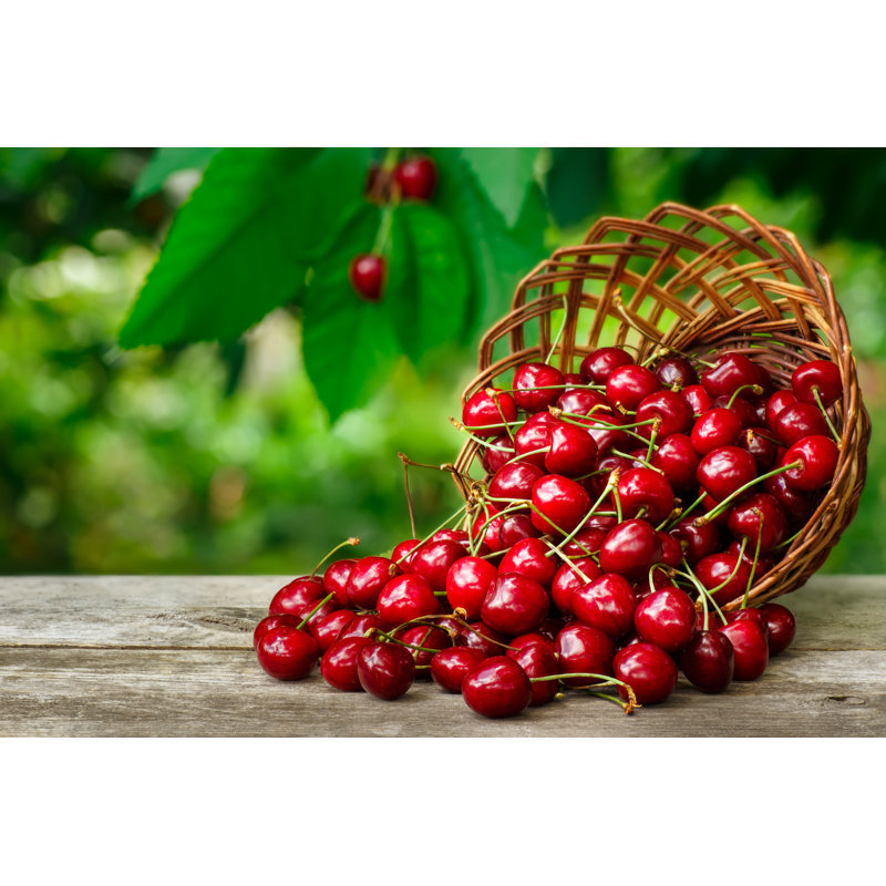Cherries - Wrapped Canvas Print, 30cm H x 46cm W x 3.8cm D