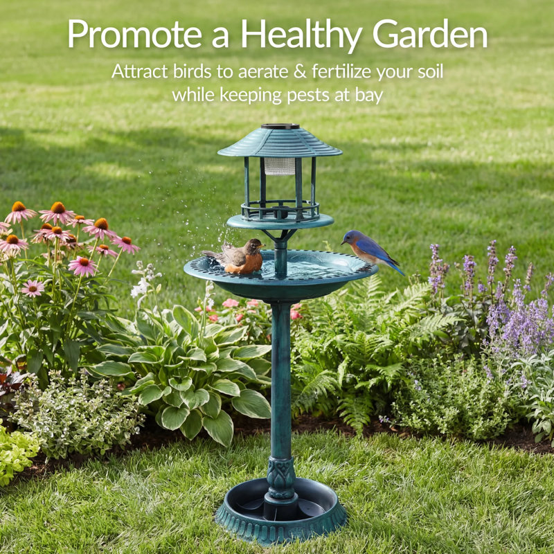 Bird Bath, Peacock Blue