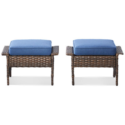Demarrius Polyethylene (PE) Wicker Outdoor Ottoman