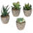 3.5 " H Faux Succulent