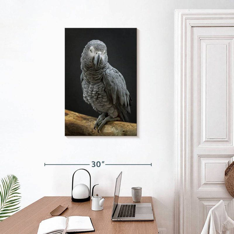 Brampt Congo Grey Parrot, 30" H x 20" W