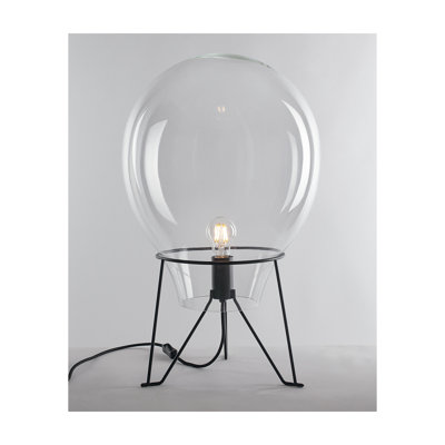 Camerynn Novelty and Globe