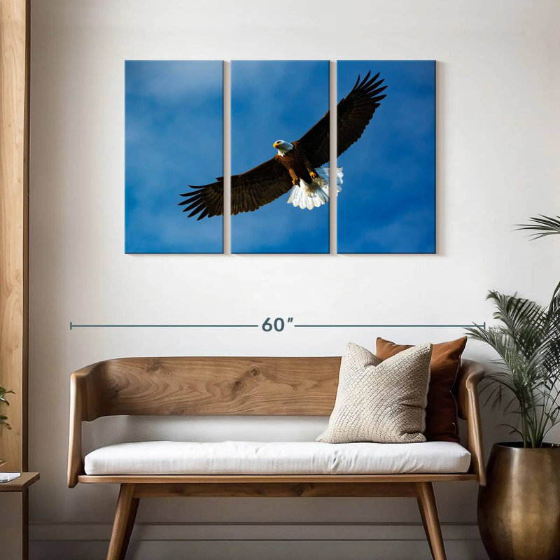 Brampt Eagle From Below, 28" H x 45" W