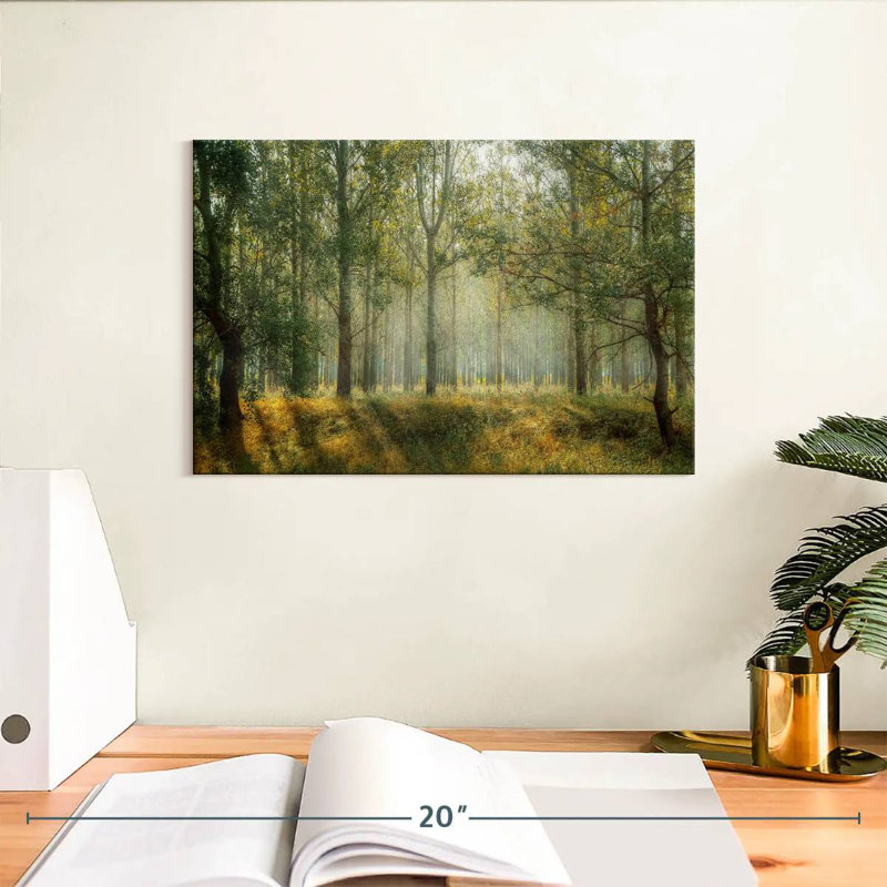 Paysage de forêt verte d'Alvord, H 8 po x l 12 po