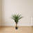 Agave Artificial Plant