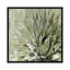 «Succulent V» par Lindsay Benson, reproduction sur toile tendue sur châssis-28627788-72449348-72449349
