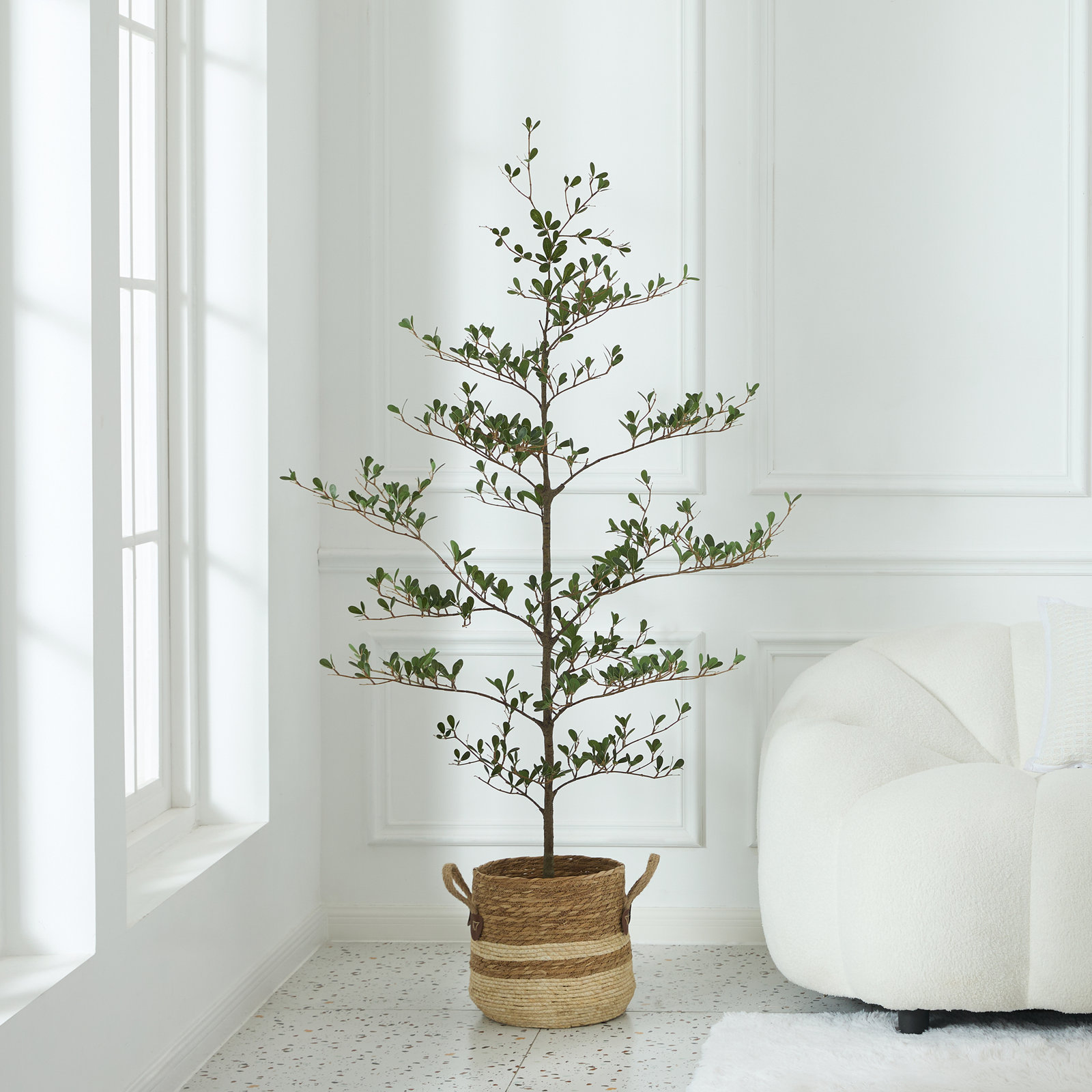 Adcock 84" Olive Tree in Pot, 60" H x 20" W x 20" D