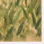 Nature No. 15 By Valeria Sidañez-1176915414