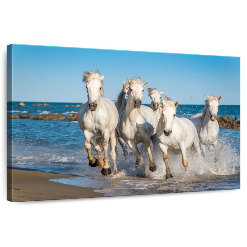Brampt Camargue Horses, H 24 po x l 36 po