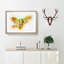 Macaw Parrot with Wide Wings in Abstract - Framed Print-55577226-55577227