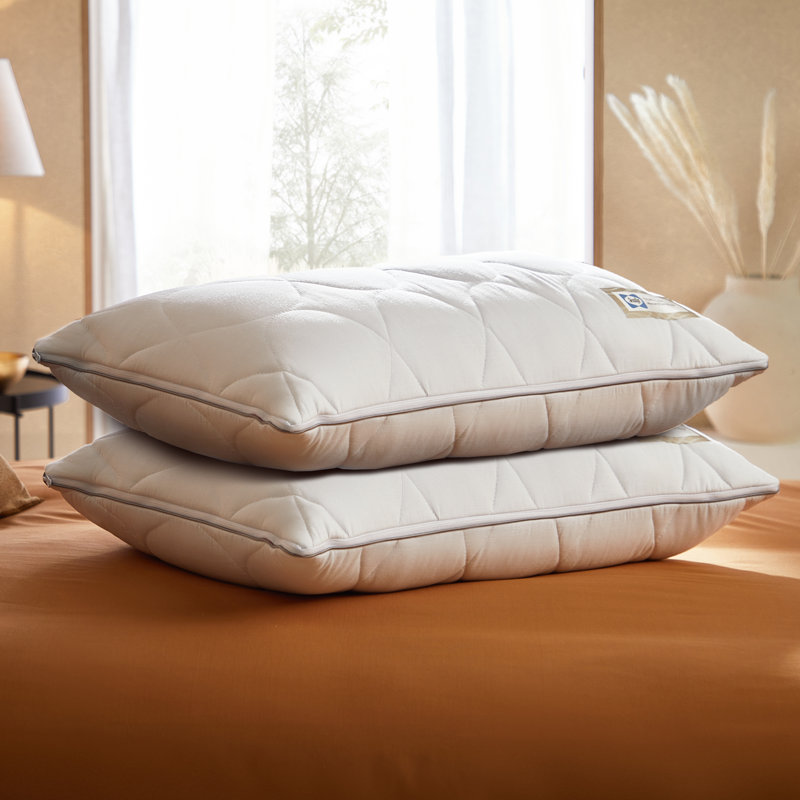Sealy Dual Comfort Memory Foam Pillows 2 Pack