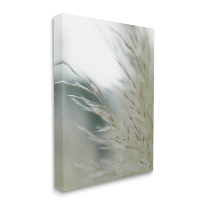 Photographie «Tranquil Wheat Pampas Grass» par Jason Johnson - photographie sur toile tendue