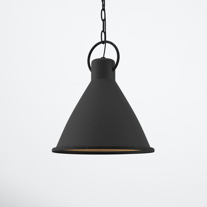 Amara 1 - Light Single Pendant, 15.5" H x 12.25" W x 12.25" D, Rustic Pewter