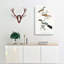 Shrike Bird Illustrations by John Edward Gray - Wrapped Canvas-55318320