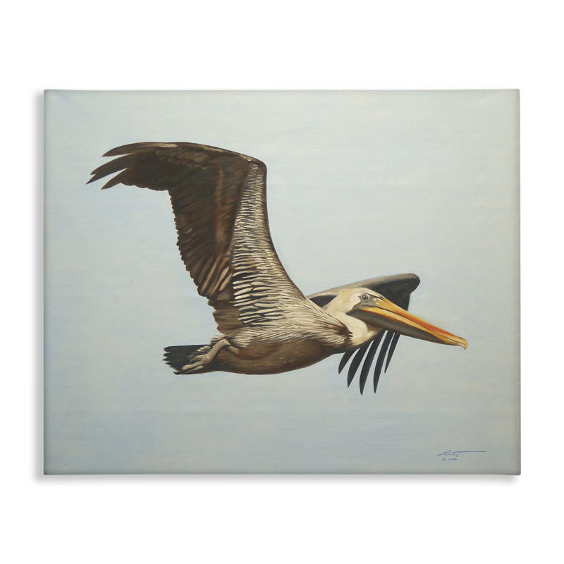 Brown Pelican in Flight Canvas Wall Art by D. Rust, 16" H x 20" W