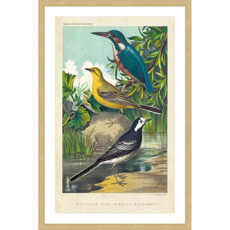 « kingfisher & wagtail », reproduction d’art encadrée, H 24 po x l 16 po x P 1,5 po