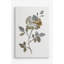 «Neutral Rose I», reproduction sur toile-26230518
