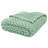 Plain Weave / Muslin Throw Blanket-888216401