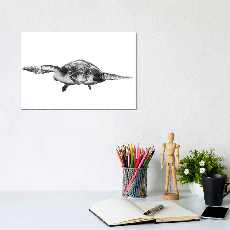 White And Turtle by Barathieu Gabriel - Wrapped Canvas Print, 20.32 cm H x 30.48 cm W