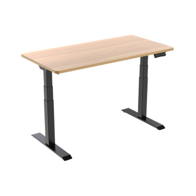 Electric Standing Desk with Dual-Motor and 3-Stage by 4dock