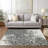 Lamanna Washable Oriental Indoor / Outdoor Rug-95455179