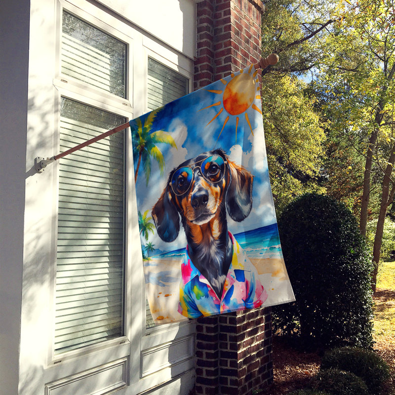 Drapeau de la maison esquimau américain, Dachshund
