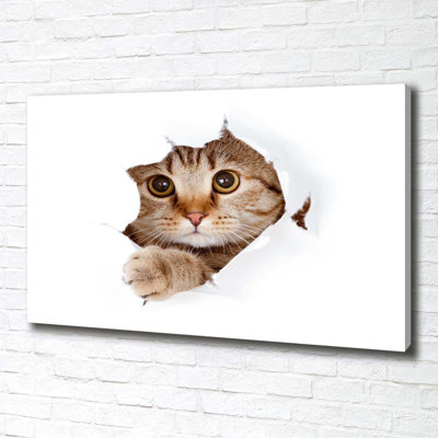 Cat - No Frame Print on Canvas