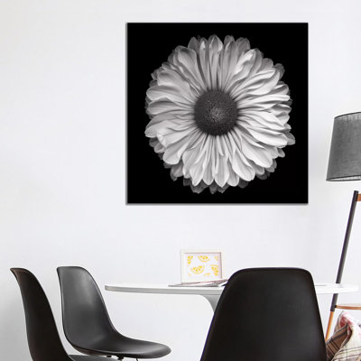 Mum Special III, B&W by Magda Indigo - Wrapped Canvas Print