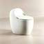 12" Rough-In 16.14"Seat Height Integrated Egg Toilet with Armrest, Siphon Flush System, Odour-proof, Quiet Powerful Flush for Household