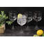 Verres Copa Gin 22Oz (ensemble de 4)