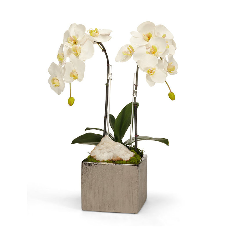Orchid Floral Arrangement in Planter with Quartz, White