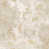 Gray/Beige