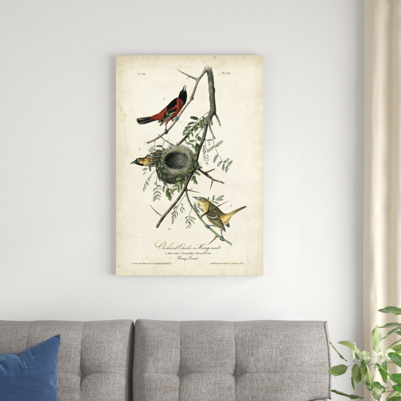 «Orchard Orioles» par James Audubon - peinture sur toile tendue, H 36 po x l 24 po x P 1,25 po