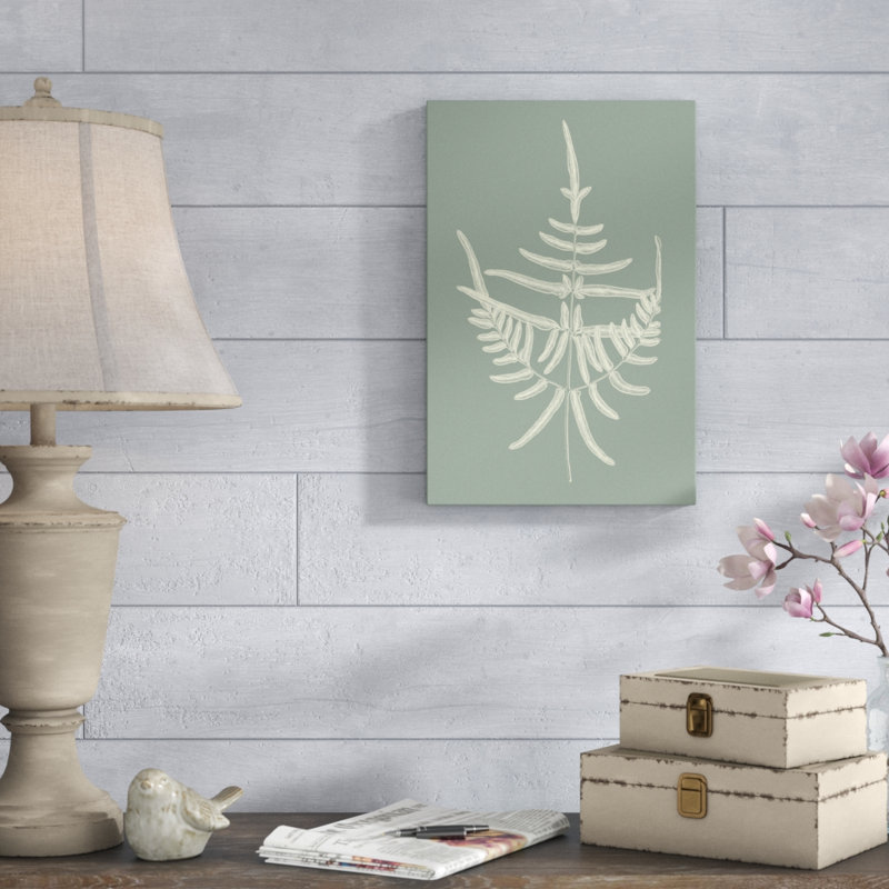 Ferns on Sage I by Vision Studio - Painting Print, Wrapped Canvas, 46cm H x 30cm W
