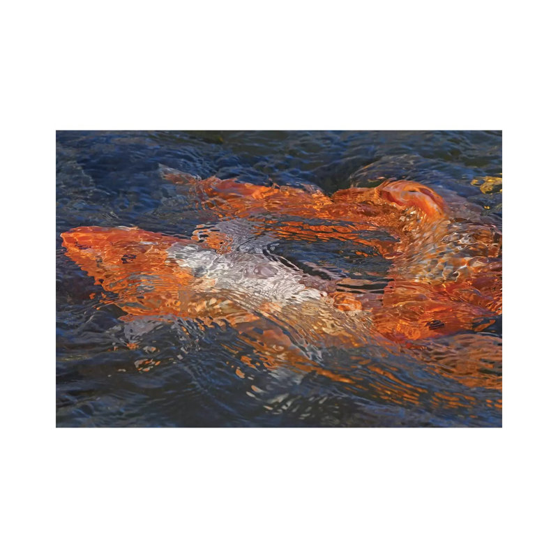 Koi Abstract by Brian Wolf - Wrapped Canvas Gallery-Wrapped Canvas Giclée, 101.6 cm H x 66.04 cm W x 1.91 cm D