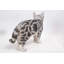 Statue de chat American Shorthair debout