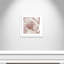 Intime rosé II - photographie-60493309-60493308