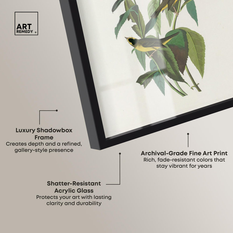 «Cheerful pair shadowbox print», art botanique par Art Remedy, H 16 po x l 11 po, Noir