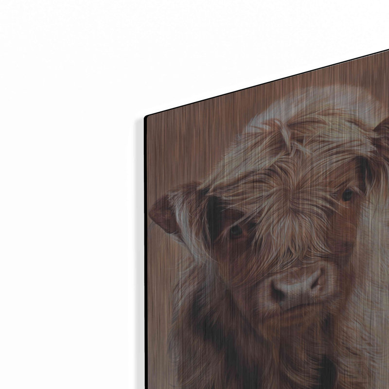 "Angus" par Sam Dolman, H 16 po x l 12 po