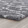 Roanoke Performance Indoor Rug