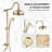 Dual Shower Combo with Handheld Shower
