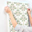 Papier peint treillis Blackberry Vine-720932914