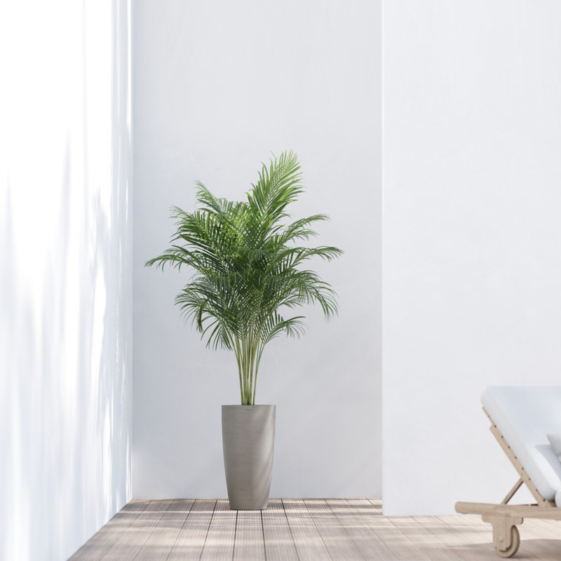 Pot Planter, Taupe