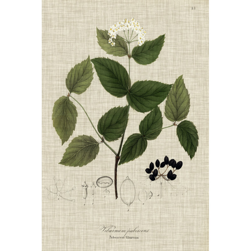 Linen And Leaves I - Wrapped Canvas Print, 46cm H x 30cm W